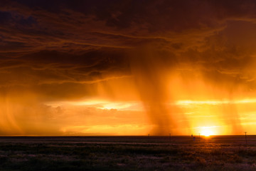 Fototapeta na wymiar Sunset Shower