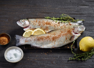 fresh raw fishes