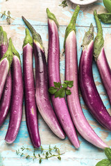 long and slim finger eggplant - solanum melongena