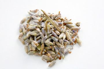 Spices. Lavender - Studio