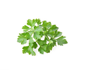 Top view parsley on white background
