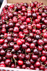 Fruit. Cherry - Bangkok