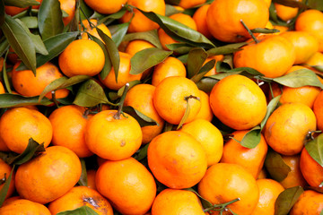 Fruit. Orange - Bangkok
