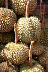 Fruit. Durian - Bangkok