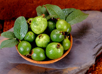 Fruit. Guava - Studio