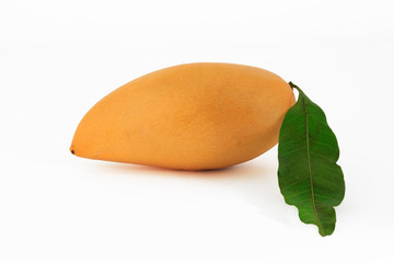 Fruit. Mango - Studio