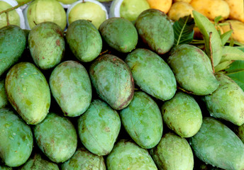 Fruit. Mango - Studio
