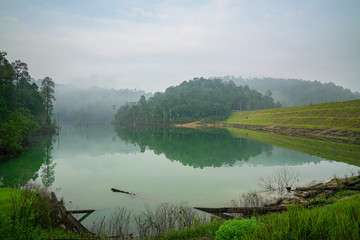 Fototapeta na wymiar Jungle and lake landscape