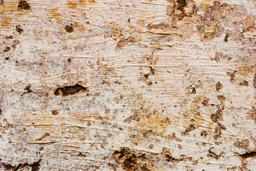 Texture of a concrete wall with cracks and scratches which can be used as a background