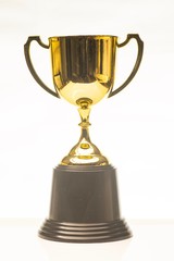 Isolated shot of trophy replica against white background