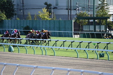 競馬