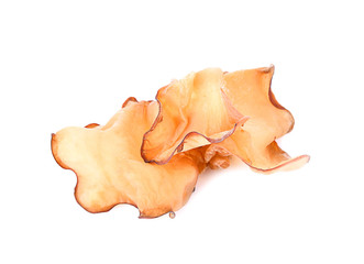 Ear mushroom isolated on white background
