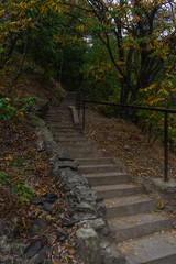 Obraz premium Rural landscape with old stairway