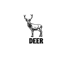 deer antler logo symbol illustration vector