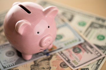 家計をイメージしたお金と豚の貯金箱
