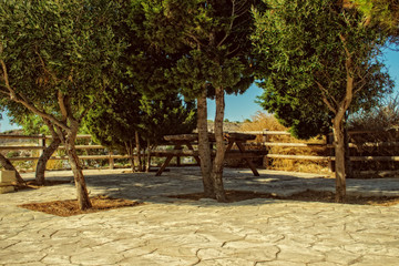 An empty bench in the park