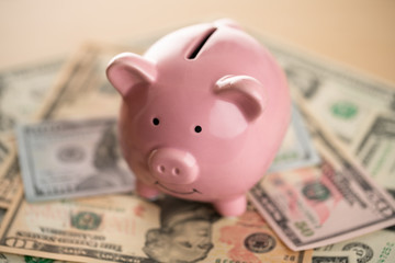 家計をイメージしたお金と豚の貯金箱