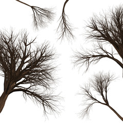 Tree branch background. 3D Illustration. White background isolate. Nature and Gardens design.