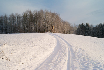 Fototapeta na wymiar A Winding Path through the Snow - A Romantic Winter Landscape