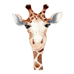 Cute giraffe cartoon watercolor illustration animal © EvgeniiasArt