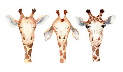 Cute giraffe cartoon watercolor illustration animal set © EvgeniiasArt