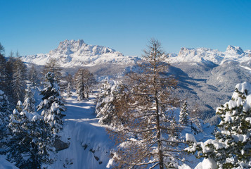 Fototapeta na wymiar Romantic, Enchanted and Beautiful Mountain Winter Landscape with Snow and Trees on Faloria, Cortina d Ampezzo, Belluno, Italy