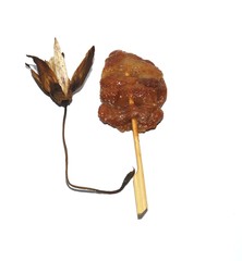 Close up a grilled pork with a withered lotus.