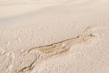 Fototapeta na wymiar High quality Salt texture of the desert. View from the drone to the salt lake Tuzla, near the Rybakivka resort, in Ukraine.