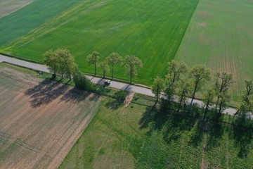 Rural road with old tree alley in nature park and agriculture tractor, aerial