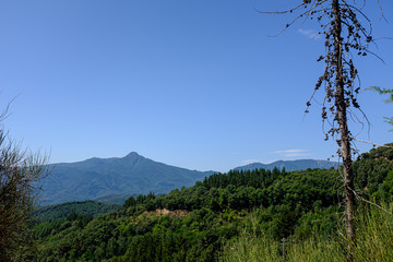 Fototapeta na wymiar Green forest mountain landscape on a blue sky on a Mediterranean forest on a summer landscape