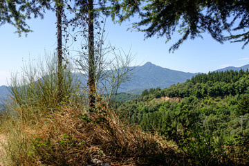 Obraz na płótnie Canvas Green forest mountain landscape on a blue sky on a Mediterranean forest on a summer landscape