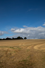 Clouds over recently harvested crop with stubble left in field in the rural county of Hampshire