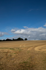 Naklejka premium Clouds over recently harvested crop with stubble left in field in the rural county of Hampshire