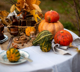 beautiful outdoor still life in country garden with assorted pumpkins on round table