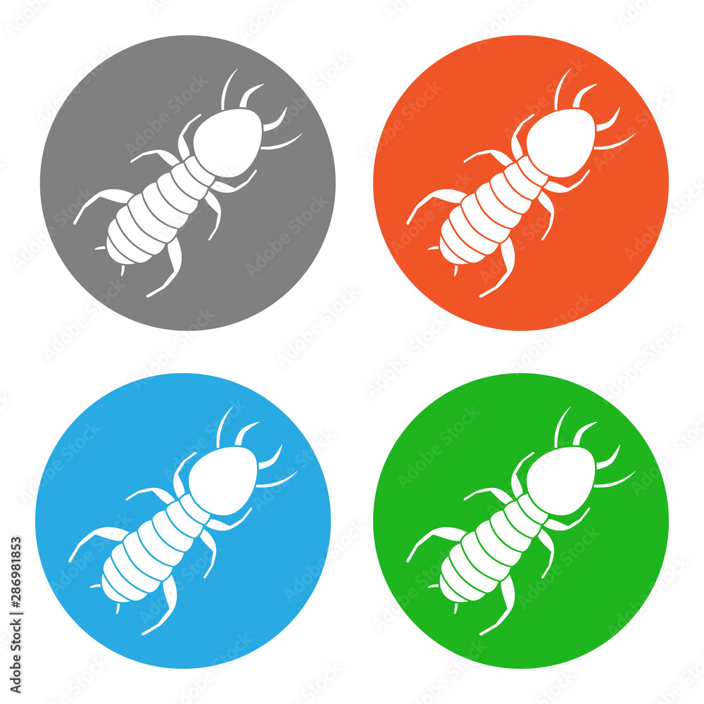 Canvas Prints Termite or White ant. Icon set. Vector.