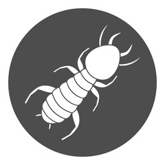 Obraz premium Termite icon. White ant symbol. Vector.