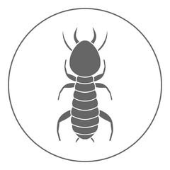 Termite icon. Insect symbol. Vector.