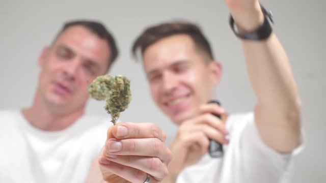 Close-up of cannabis bud, medical use of marijuana