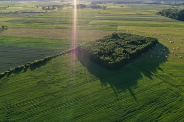 beautiful farmland landscape with grove and fields, aerial