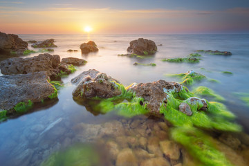 Mist on water and seaweed on stones.