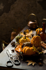 autumn still life with assorted pumpkins in copper plate with spool of thread on rustic table