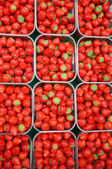 strawberries in plastic box ready for sell