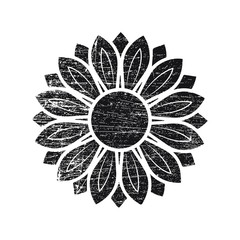 Grunge sunflower vector illustration in black color, vintage design element
