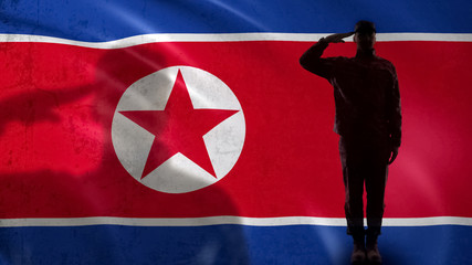 North Korean soldier silhouette saluting against national flag special operation