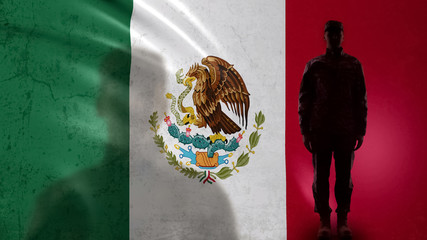 Mexican soldier silhouette standing against national flag, proud army sergeant
