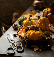 autumn still life with assorted pumpkins in copper plate with spool of thread on rustic table