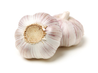 fresh garlic isolated on white background 