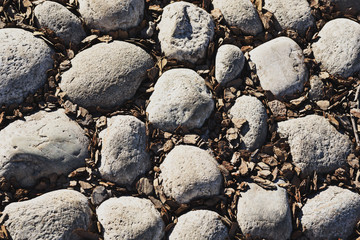 The texture of large smooth stones in wood chips