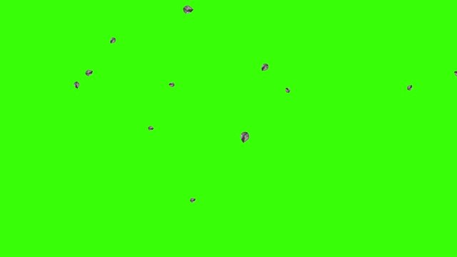 Small fragments of black rock falling at different speeds on the green screen.Rain of debris in chroma key. Abstract animation of 3d small stones, meteorites or asteroids.Explosion or collapse concept