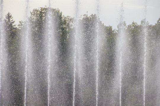 Fountain on the water. Water show. Fountain on the lake in the park. © alenka2194